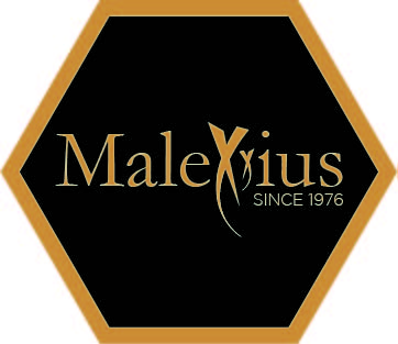 Design von kreativMS