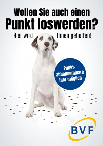  Plakat-Design für Punkteabbau durch Teilnahme an einem Fahreignungsseminar (FES)