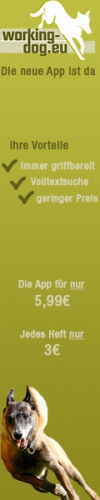 Design von Pixelschubserto