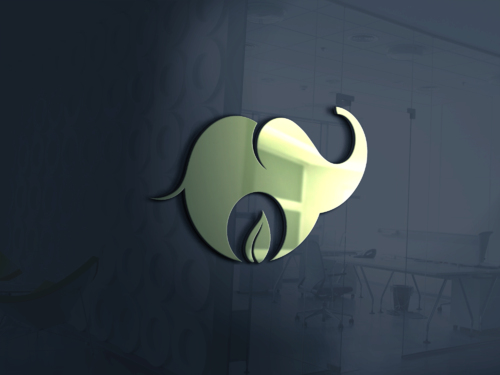 Design von xcepto