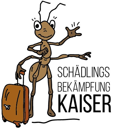 Design von Miiphisto