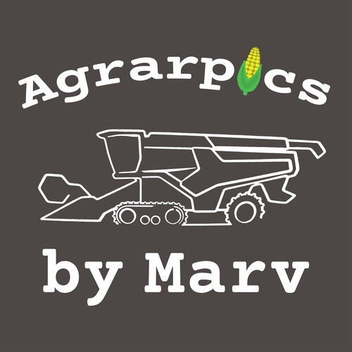 Logo-Design