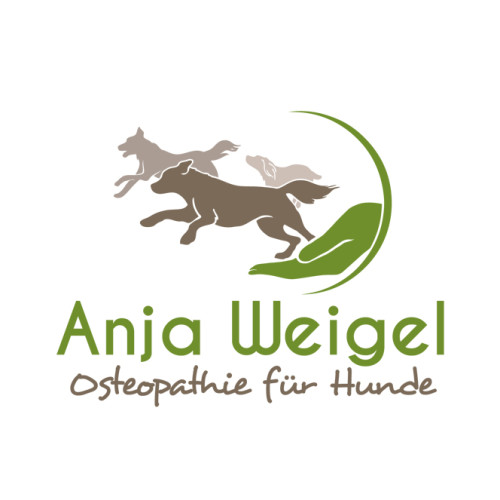  Gründerin sucht ein Logo-Design für Hunde-Osteopathie